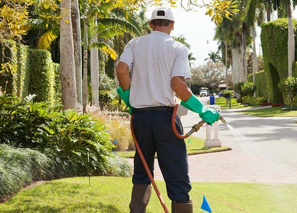 About Avery TX Pest Control